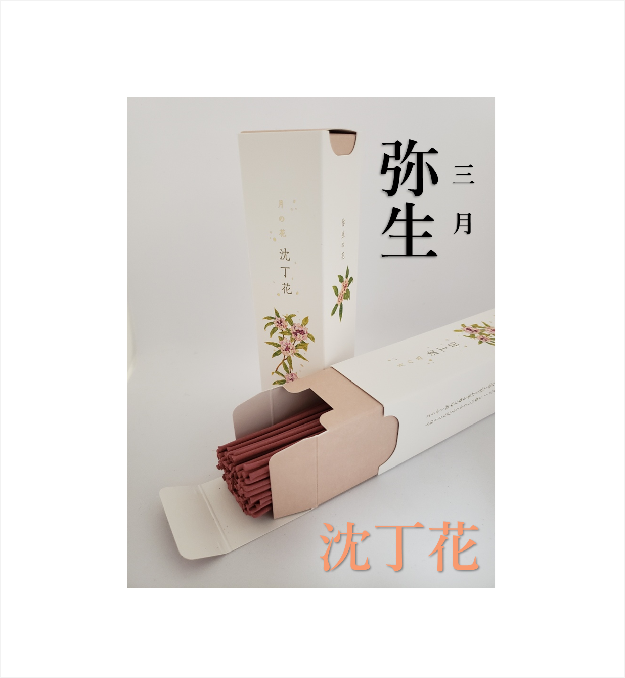 月の花(10月~3月)【カメヤマ】