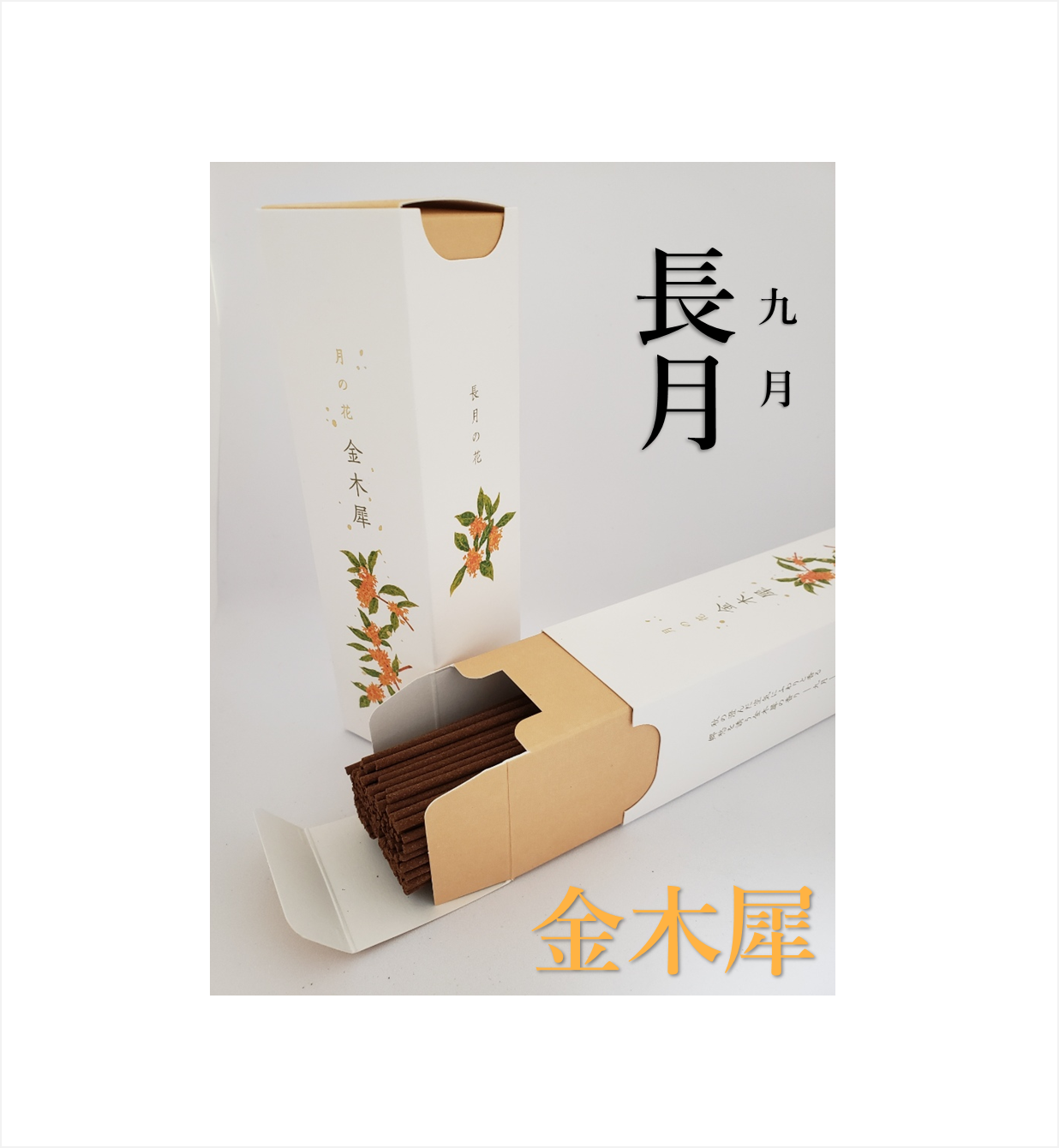 月の花(4月~9月)【カメヤマ】