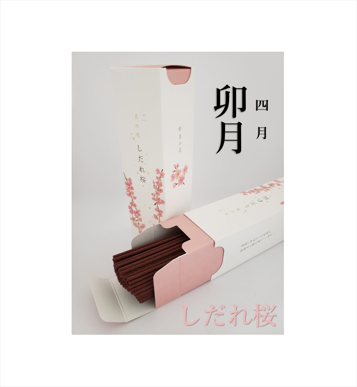 月の花（4月～9月）【カメヤマ】