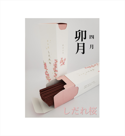 月の花（4月～9月）【カメヤマ】