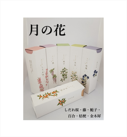 月の花（4月～9月）【カメヤマ】