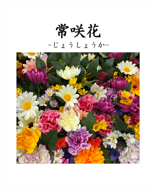常咲花（じょうしょうか）