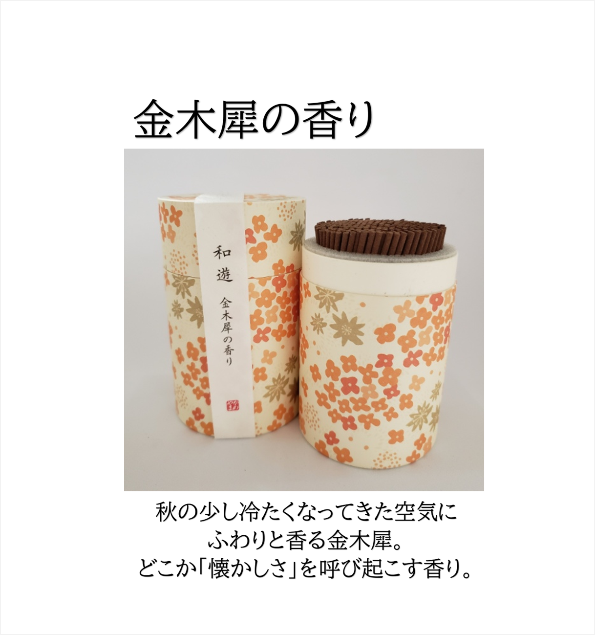 和遊（筒箱）【カメヤマ】