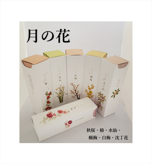 月の花（10月～3月）【カメヤマ】